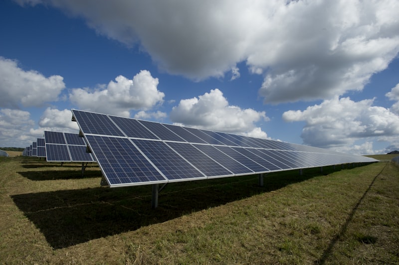 ESG e sustentabilidade